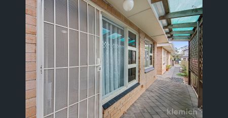 Cute as a Button. - Photo 4