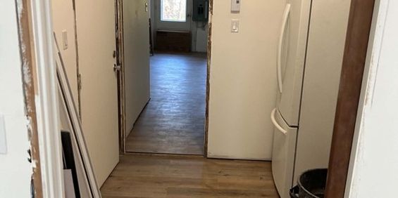 Grand 3 1/2 Plateau Mont-Royal Sous-sol - Photo 3