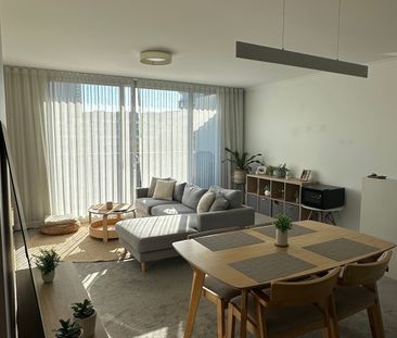 Zetland - Photo 5