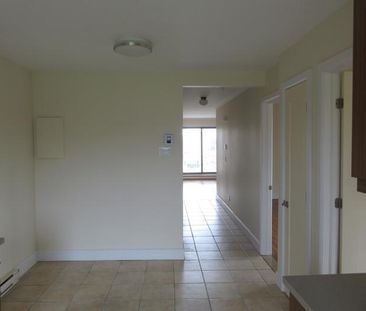 ROSEMONT - GRAND 4 1/2 en face de l'Hôpital Santa Cabrini - Photo 3