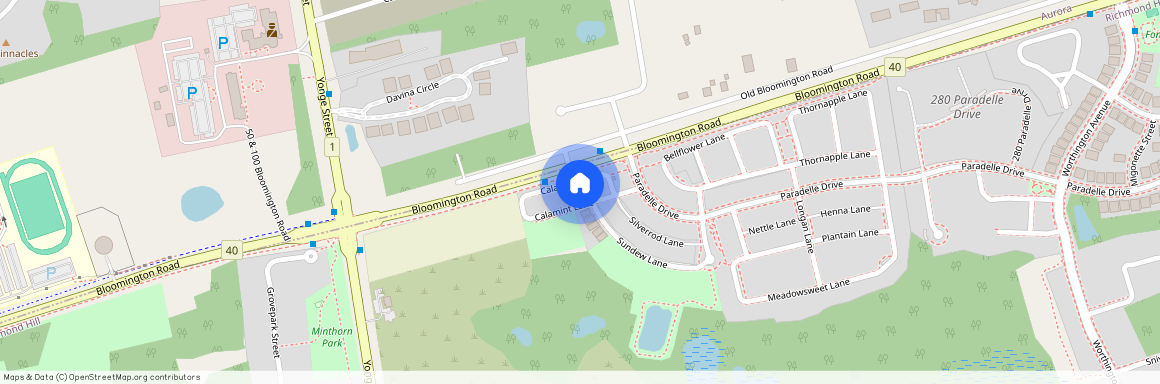 11 Calamint Lane, Richmond Hill