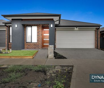 Modern home with 2 x living areas for Lease - Photo 2