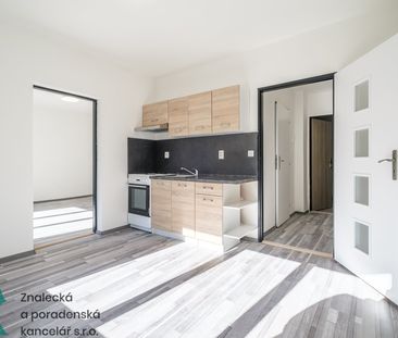 Pronájem bytu 1+1, Střekov, Ústí nad Labem - Photo 4