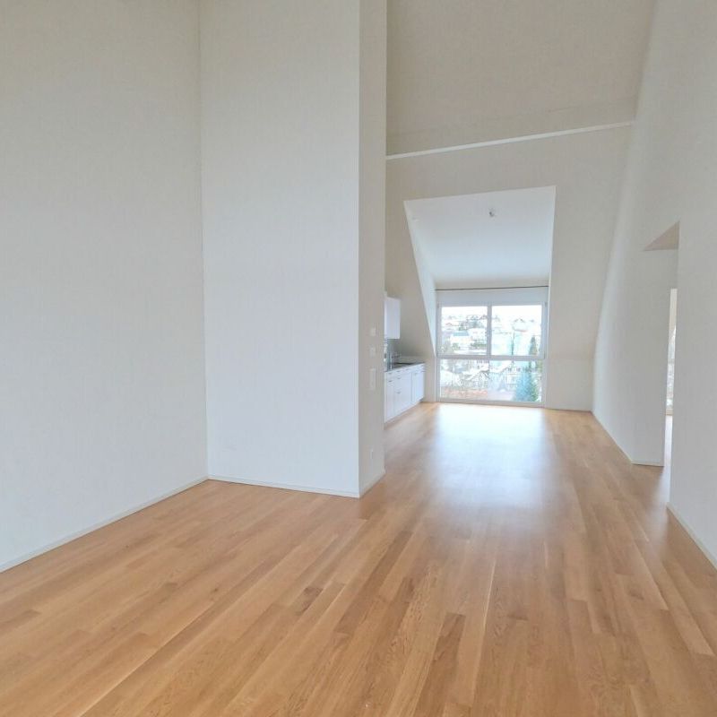 3.5-room apartment, bright, quiet and spacious with good SBB connections in all directions - Foto 1