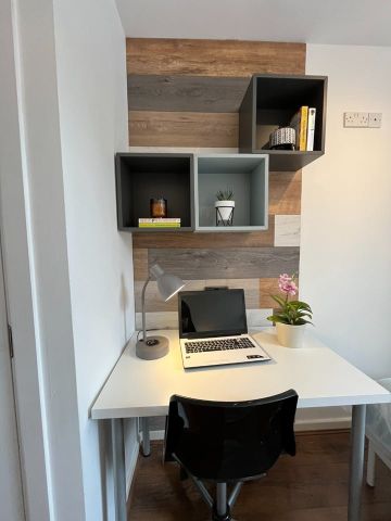 7 Bed Terraced House, Garmoyle Road, L15 - Photo 3