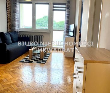 Rybnik, Śródmieście - Photo 6