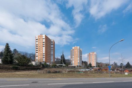 Mitten in der Stadt und doch im Grünen! - Photo 4