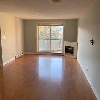 1 bedroom in great central Langford location - Photo 3