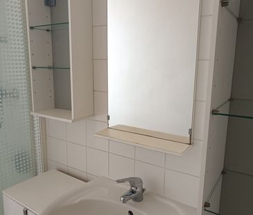 Location Appartement 3 pièces 52m² ST MAUR DES FOSSES 94210 - Photo 4
