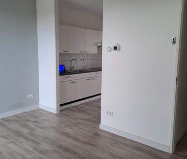 Appartement de 3 pièces, Pleinbuurt, Purmerend - À louer - Photo 4