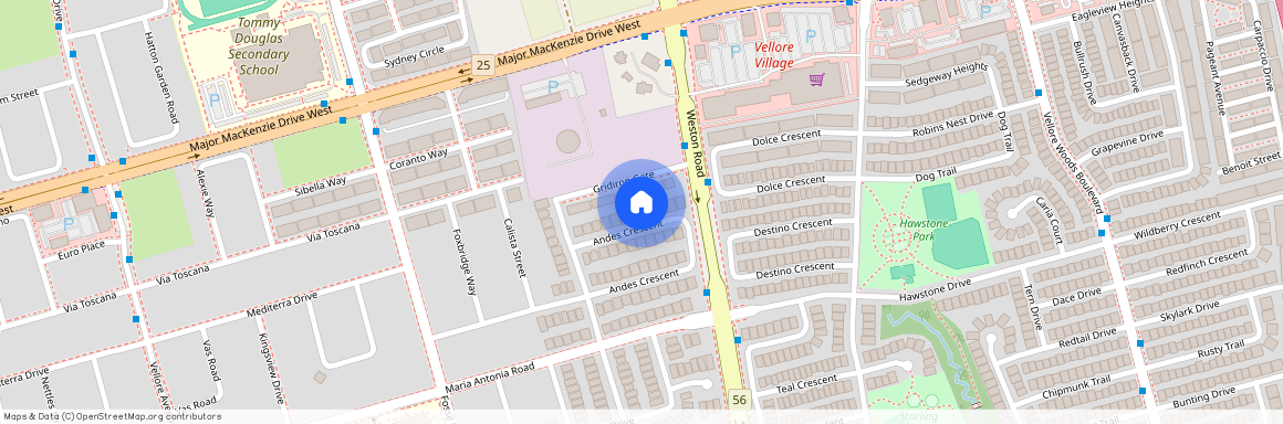 103 Andes Crescent, Vaughan, Vellore Village