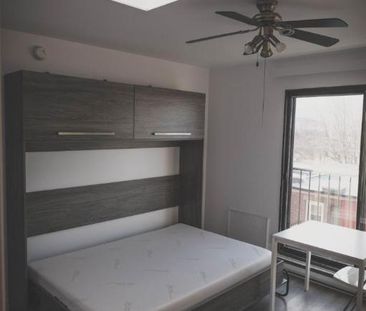 1 1/2 - Montréal (La Petite-Patrie) - 950 $/mois - Photo 1