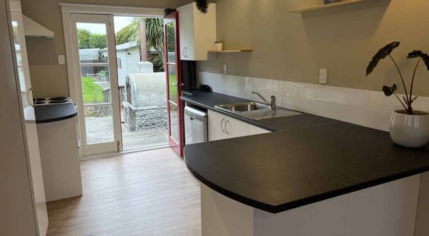 Suprise on Aorangi! 3 Bedroom stand alone and fully renovated family home! - Photo 1