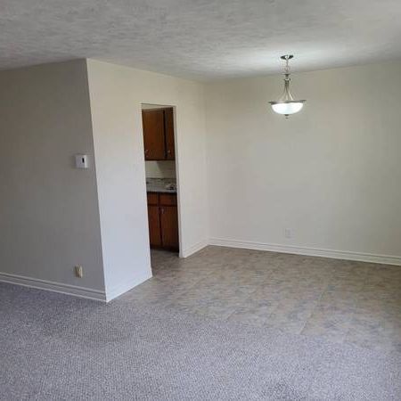 SPACIOUS ONE BEDROOM with Immediate Occupancy - Photo 4