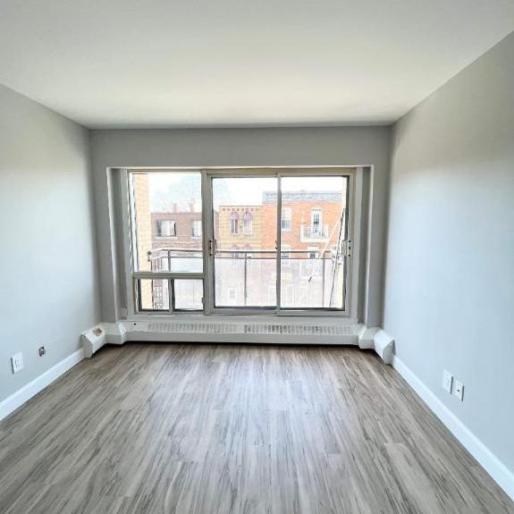 Studio - Montréal - $1,000 /mo - Photo 1