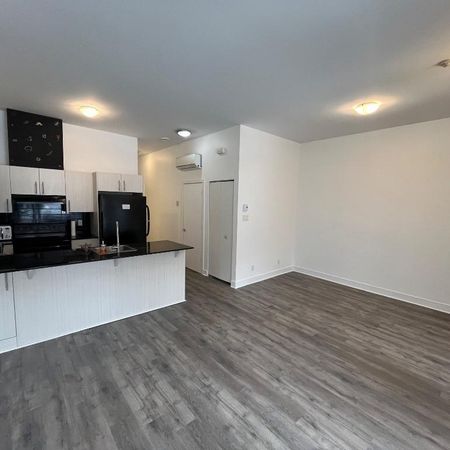 GRAND CONDO MODERNE 4 1/2 - STADE OLYMPIQUE / MÉTRO VIAU - Photo 3