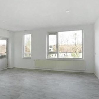 Jungfrau, 3524 WJ Utrecht, Nederland - Foto 3