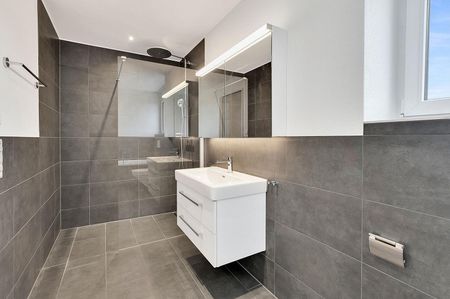 Attika-Wohnung mit grosser Terrasse und Weitsicht - Photo 5