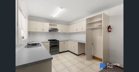 "Large and in Charge" - Photo 4