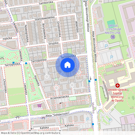 ul. Tarnopolska, Malinka, Opole, opolskie