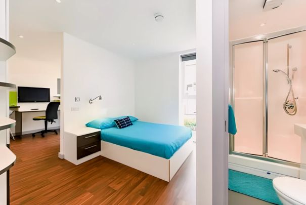 Studio gold plus - Photo 1