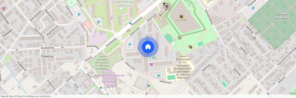 ul. Izaaka Newtona, os. Mikołaja Kopernika, Grunwald, Poznań, wielkopolskie