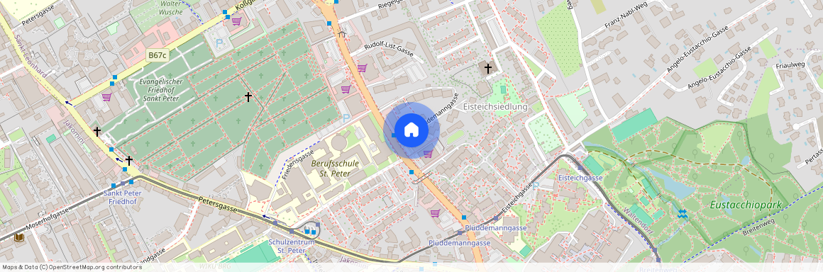 Plüddemanngasse, 8010 Graz