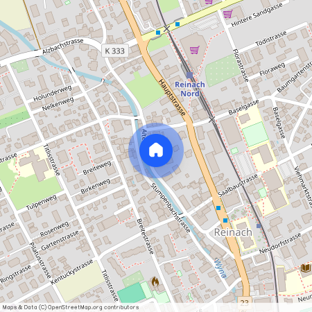 Alte Strasse 41, 5734 Reinach