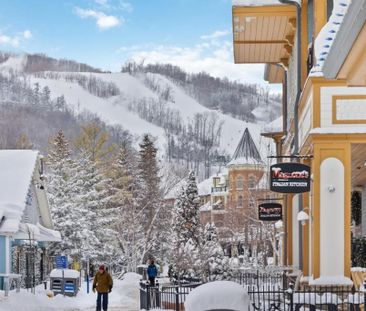 For Lease - 31 Huron Street Unit# 221, Collingwood, Ontario - Photo 3