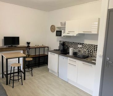 Location Appartement 1 pièce 20m² - Photo 3