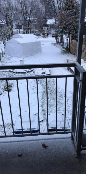 3 1/2 vieux Cap rouge - dispo fin novembre - Photo 1