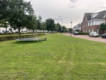 Haanakker 7 - Photo 5