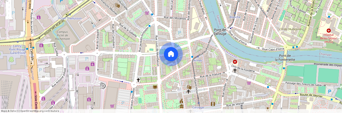 Avenue de la Praille 15, 1227, Carouge Ge