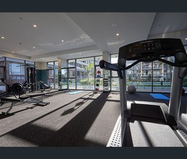 Contemporary One Bedroom with Abundant Natural Light! - Photo 1