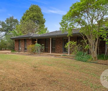 2 Gregadoo Road, Lake Albert, NSW 2650 - Photo 2