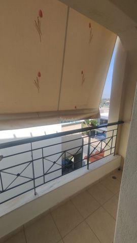Διαμέρισμα για ενοικίαση Μαρκόπουλο - Photo 5
