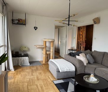 Sportvägen, Härnösand - Foto 2