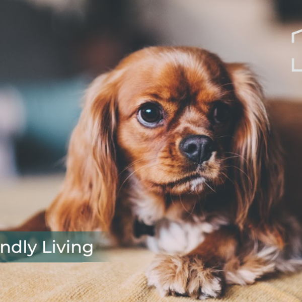 The Slate Yard, M3 - Photo 1