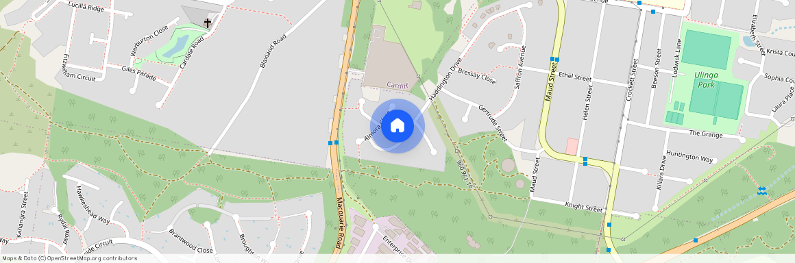 15 Haddington Drive, NSW 2285, Cardiff South