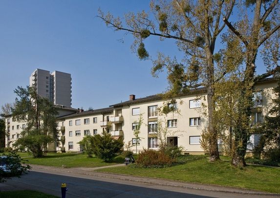 Gemütliche 3-Zimmerwohnung in Birsfelden gesucht? - Foto 1