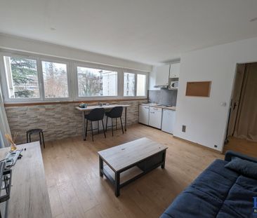 Location Appartement 1 pièce 28m² GRENOBLE 38000 - Photo 3