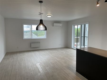 864-401 (vacant ) RUE LAMARCHE, SHERBROOKE, J1H 0M5 5½ - Photo 4