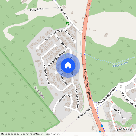 12 Palmetto Street, Palm Cove, QLD 4879