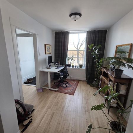 Beau logement 4½ rénové récemment, dans Rosemont-La-Petite-Patrie, près de la piste cyclable et du Plateau Mont-Royal - Photo 3