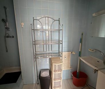 Location Appartement 1 pièce Meublé 11m² NANCY 54000 - Photo 3
