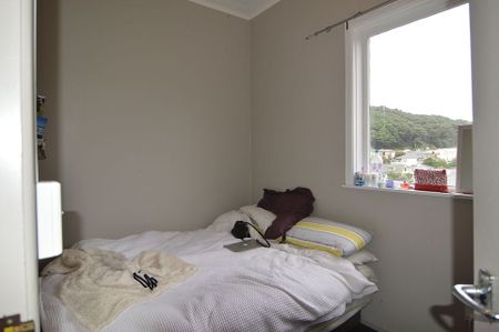 beautiful 3 bedroom Apartment in Mt Vic - Photo 3