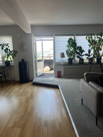 Drottninggatan, Helsingborg - Photo 3