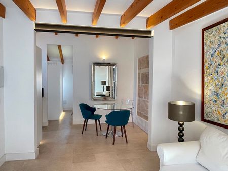 Elegante apartamento bien amueblado, un dormitorio, terraza, La Lonja. - Photo 4