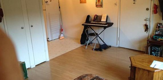 Kits big beautiful studio apartment, with wood floors,on the 2nd floor - Photo 2