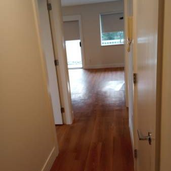 Newly Renovated 1 Bdrm aptmt for rent. Rent is $1,450/mth - Photo 4